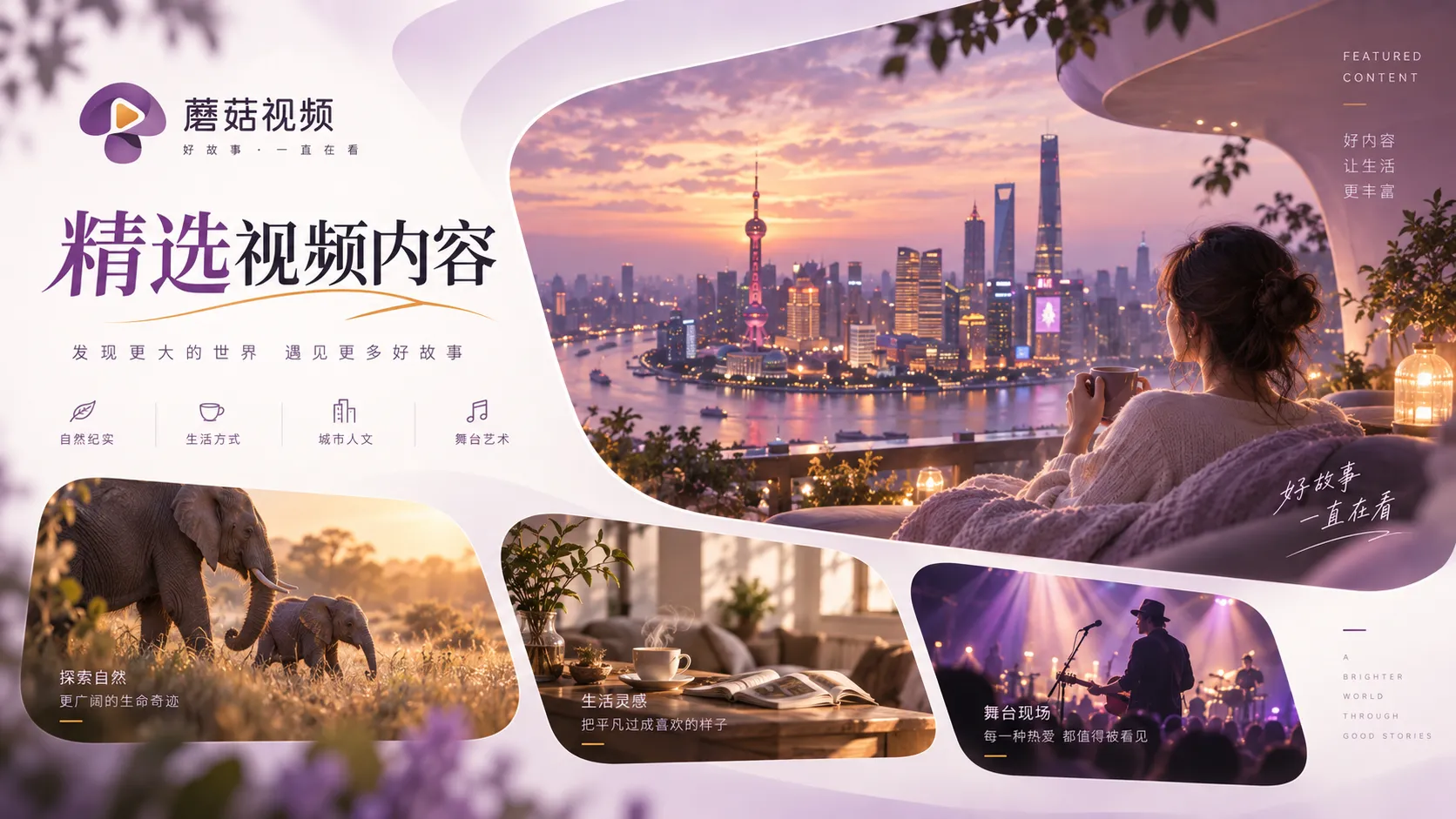 蘑菇视频在线观看内容整理
